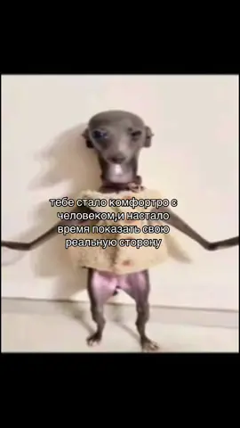 #рек #рекомендации #рекомендации #рек #рекомендации 