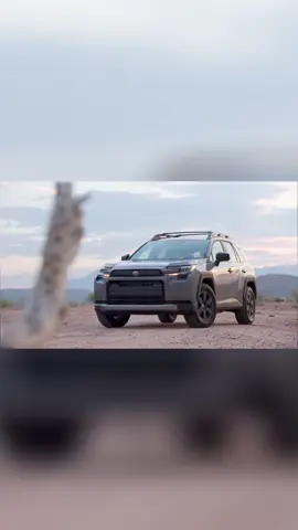 RAV4 deep dive! ToyotaCare, warranty, and trim levels—everything someone needs to know before they buy. #ToyotaRAV4 #CarBuyingTips #ToyotaCare #CarReview