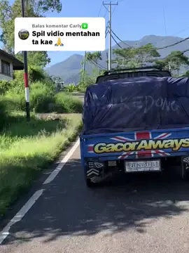 Membalas @Carly❇️ #picupikan💐🌀🚀 #nttpride🏝🔥 Gacor parah🤣🤣