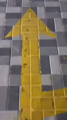 #هوندا #pppppppppppppppppppppp #honda #مالي_خلق_احط_هاشتاقات 