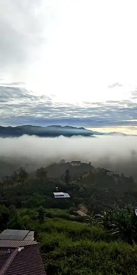 #tiktoklive #livehighlights