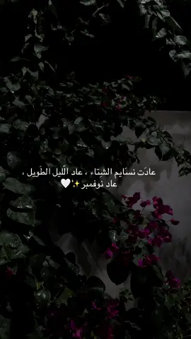 ليالي نوفمبر..#fyp #fypシ゚viral #اكسبلورexplore #viral #tiktok 