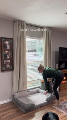 Merry Christmas 🎄 #november1st #merrychristmas #decoratingforchristmas #christmastree #christmasdecor 