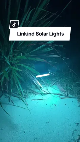 If you’ve been eyeing them..now is the time!!! 🎉🙌🏾🙌🏾 #solarlights #outdoorlights #linkind #TikTokShopBlackFriday 