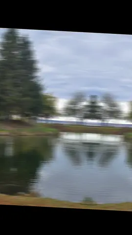 Beauty of nature🌹🌹🌹