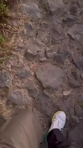 full lautan awan, dari segala arah Sabtu, 1 November 2025 #lawu3265mdpl #pendakigunung #cemorosewu #lawumountain #story 