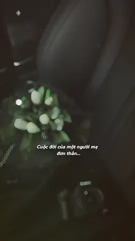 Mong rằng vào một ngày không xa, những điều dịu dàng trên thế giới này sẽ bước đến và lấp đầy trái tim bạn,  Giống như ánh mặt trời ấm áp sẽ luôn quay trở lại sau những ngày mưa tan. #CapCut 