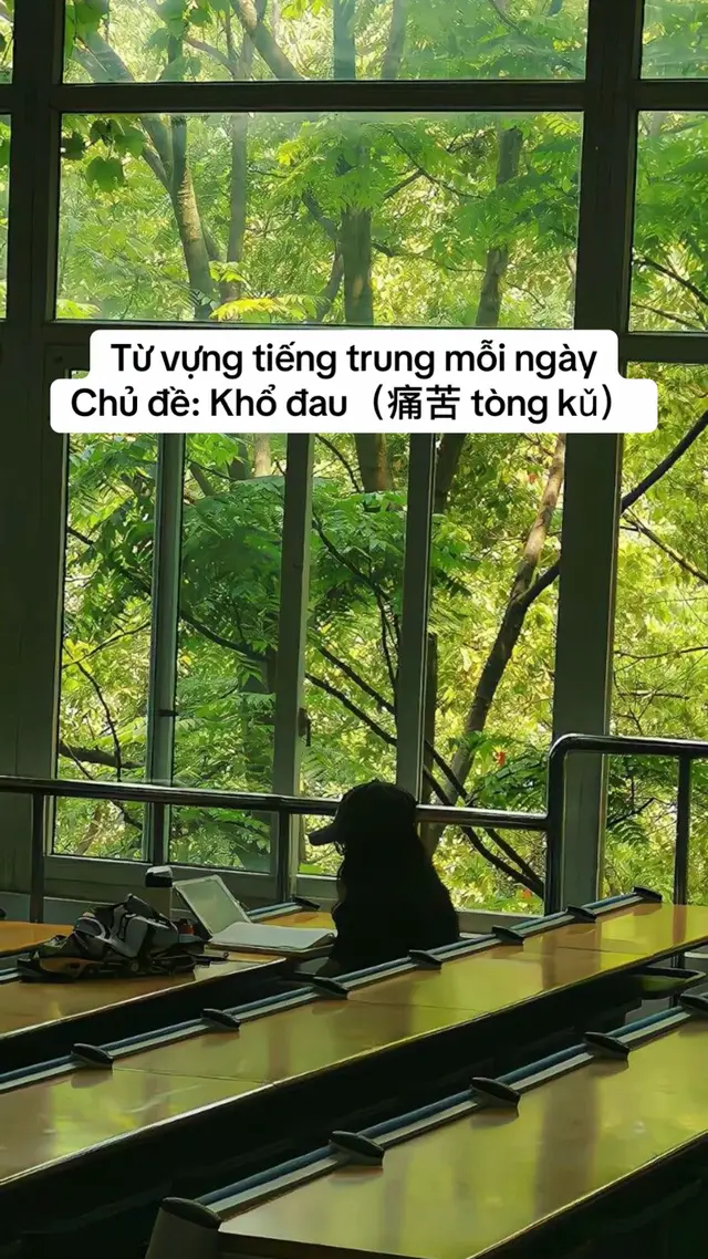 #tuvungtiengtrung #viral #xuhuong #tiengtrungmoingay #studywithme 