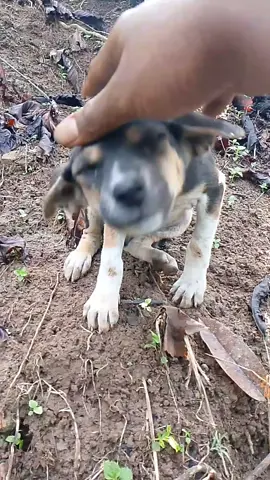 #berandakalian #fypage #fyppppppppppppppppppppppp 