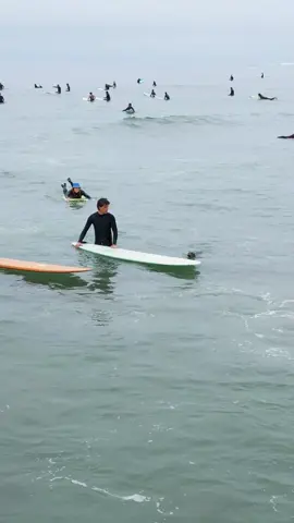 Surf's up! This cute baby seal catches a wave with the surfers. 🤙🦭 #usatodaypets #wildlife #goodnews