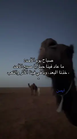 #آيمـن #fyp #A #شعر #عبارات 