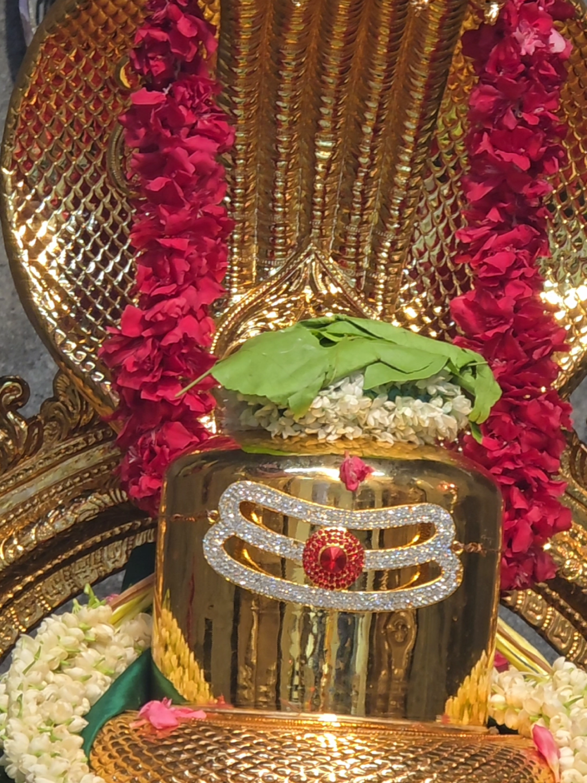 ஓம் நமசிவாய | Sri Veeramakaliamman Temple Singapore #singapore 