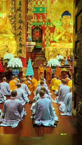 🪷Giới Tử Tăng Thi Tụng Luật Tại Chùa Minh Thành.🪷#2025xuonghuong 