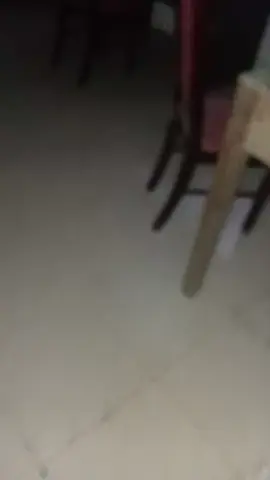 Tao thức chúng mày cũng phải thức😤 #xuhuong #chúbộđội #fyp 