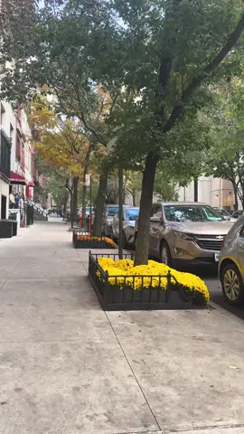Upper West Side  #nyc #upperwestside 