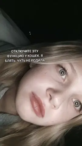 Я ВООБЩЕ ЗАБЫЛА ПРО СУЩЕСТВОВАНИЕ КОШКИ В ЭТОТ МОМЕНТ #страшно #глаза #ужас #обосралась #кошка 