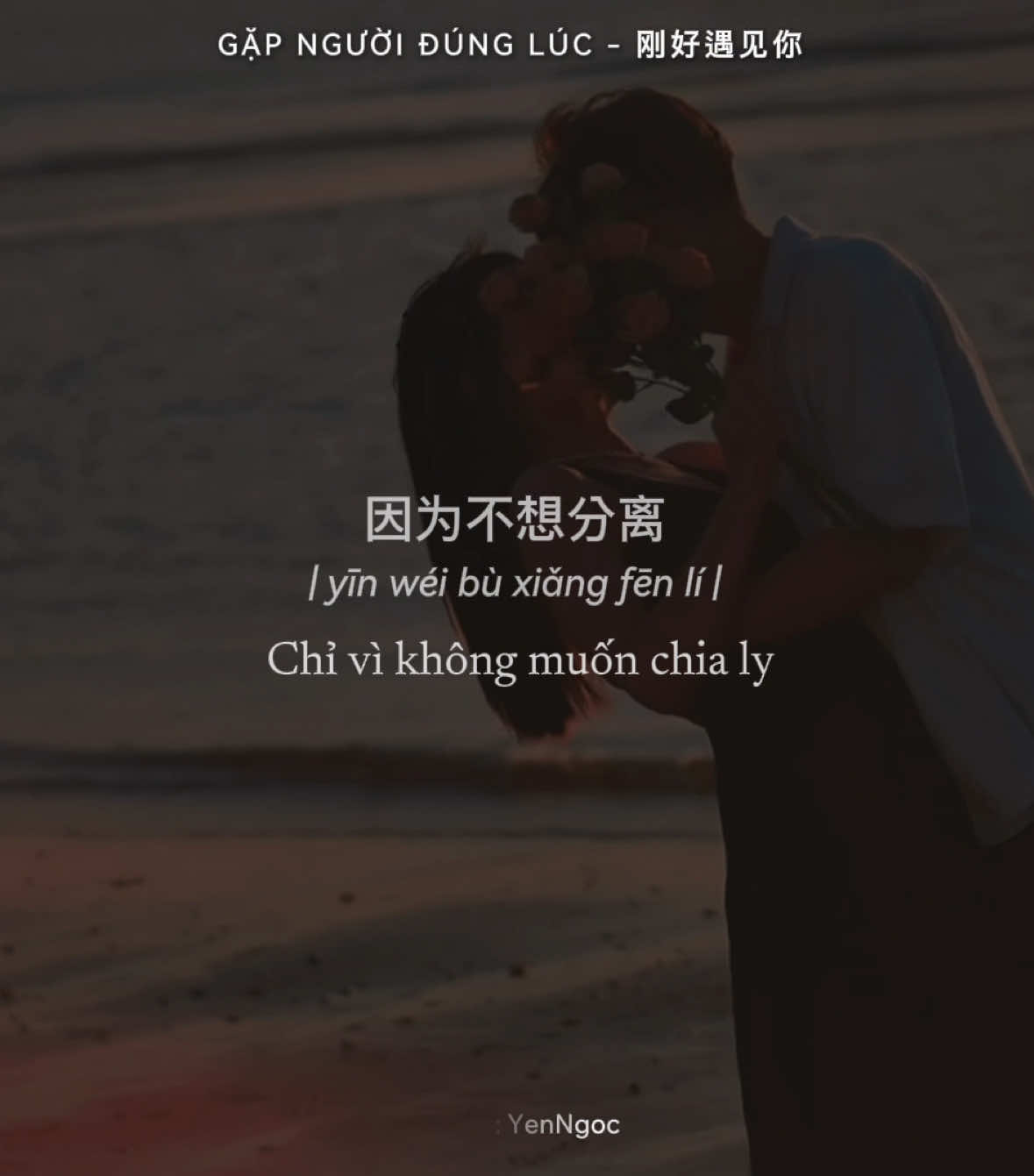 Bởi vì gặp anh đúng lúc nên em mới có thể lưu giữ những kí ức đẹp đẽ ❤️#nhactrungquoctamtrang #nhactrungquoc #gapnguoidungluc #lyrics #yenngoc 