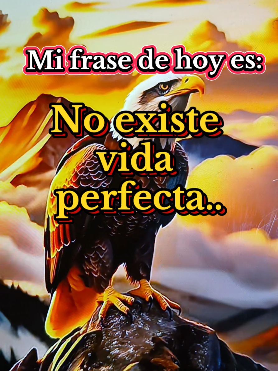 frases motivación mi frase de hoy no existe vida perfecta #frases #motivacion #vida #perfecta #paratiiiiiiiiiiiiiiiiiiiiiiiiiiiiiii 