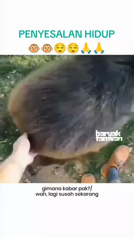 Penyesalan Hidup Bapak Babon yg tidak mengikuti hidup sehat & selalu menyia