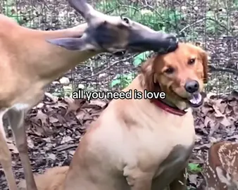 Some hopecore for the tl #thebeatles #paulmccartney #georgeharrison #johnlennon #ringostarr 