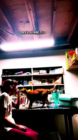 #myboy #ourhappyplace