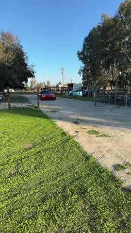 Ya se lleno el garage y todavía faltan carros 