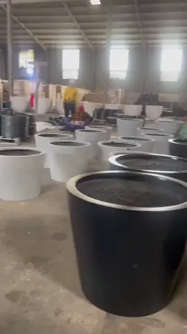 Chậu composite giá xưởng #chậutrồngcây #chậu_nhựa_composite #xưởng_chậu_Bình_Dương #chậu_decor #nội_thất_sân_vườn 
