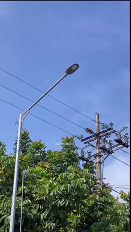 Anak Lanang 🔥 @JAZILA PRO AUDIO #horegjawatimur #soundviral #teamkejut #jazilaaudioblitar #cmc 