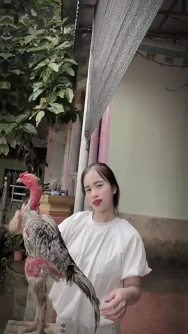 #trending #viral #ilovetiktok các bác show vào đây cùng chiêm ngưỡng nhé