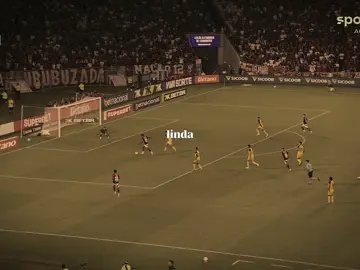 Ser Flamengo é maior que tudo❤️🖤. #flamengo #fyp #vibe 