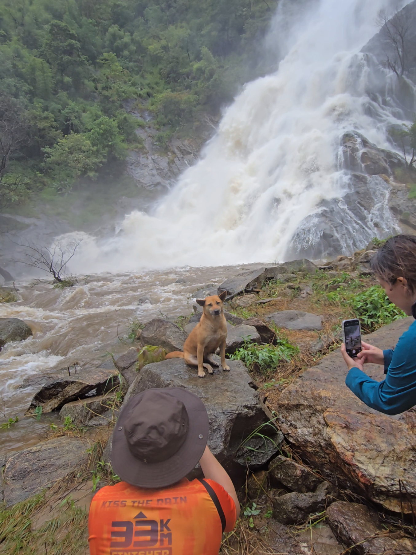 จ้างบักหล่ารีวิวแหน่ #หมาน่ารัก #น้องหมา #น้ําตกเต่าดํา #น้ําตก #คอนเทนต์ 