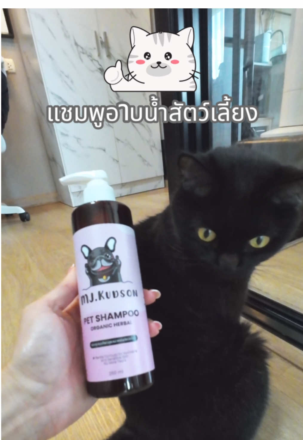น้องๆผิวอ่อนแอ เป็นโรคผิวหนังต่างๆใช้ดีมาก ป้ายยามากๆ #jploy #แชมพูสัตว์เลี้ยง #แชมพูสัตว์อ่อนโยน #แชมพูอาบน้ําสุนัขและแมว #ทาสหมาทาสแมว 