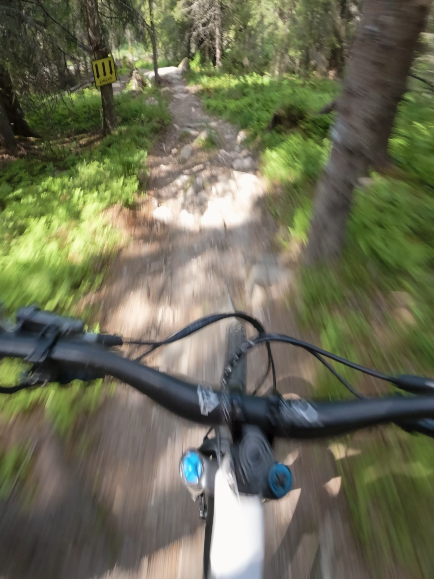 Found this in the archives, enjoy my pain...#mtb #sendit #downhill #fail