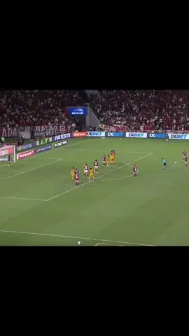 Gol Arrascaeta (Golaço) - Flamengo 3x0 Sport #flamengo #gol 