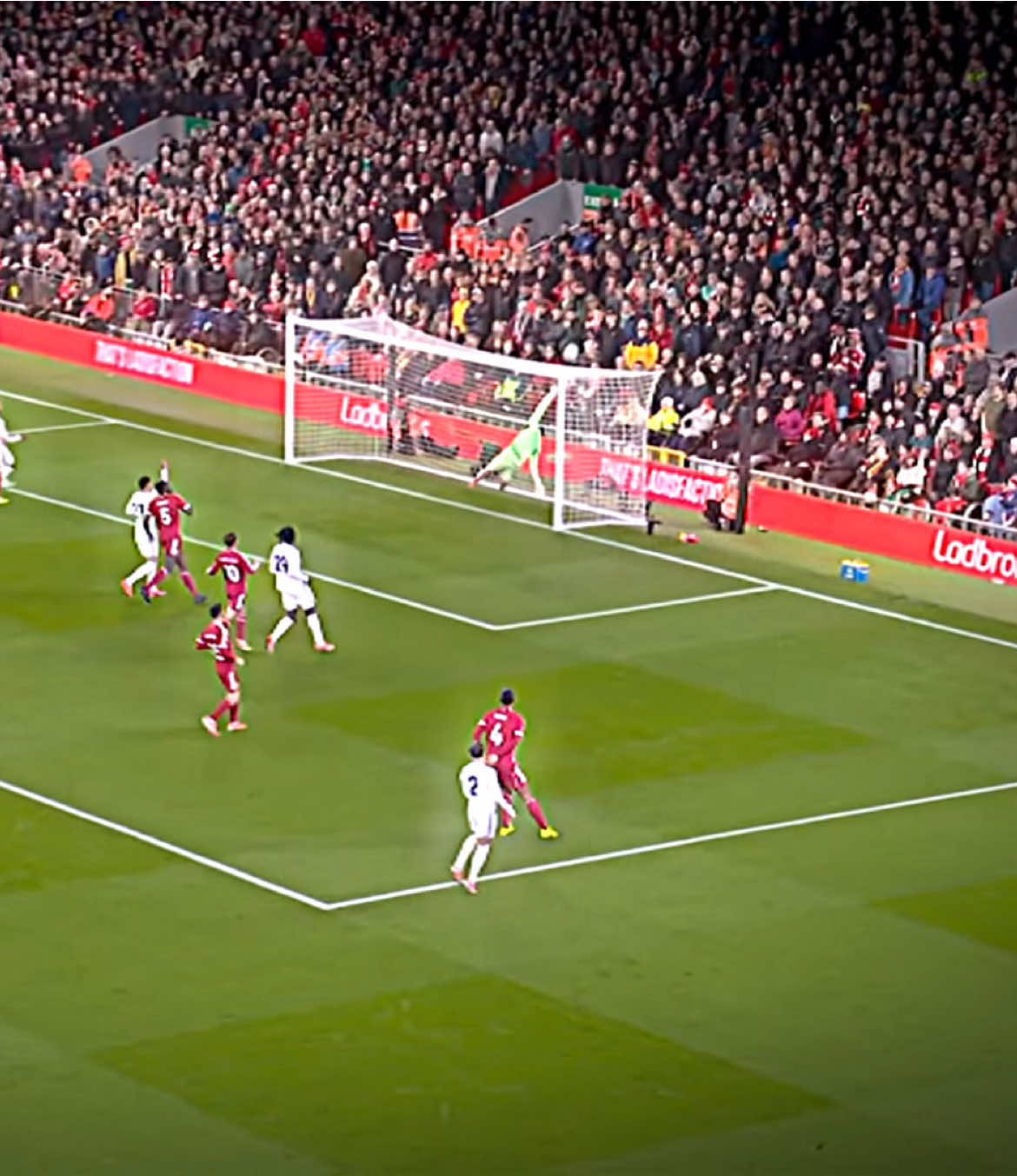 giorgi mamardashvili💀🔥#liverpool #ynwa #mamardashvili #viraltiktok 