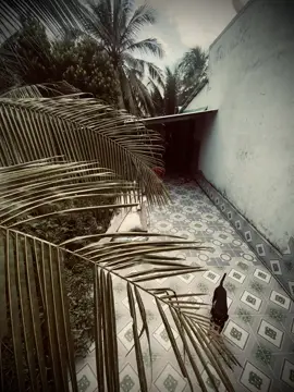 时间真是个好东西，让我们把该看清的都看清了. 