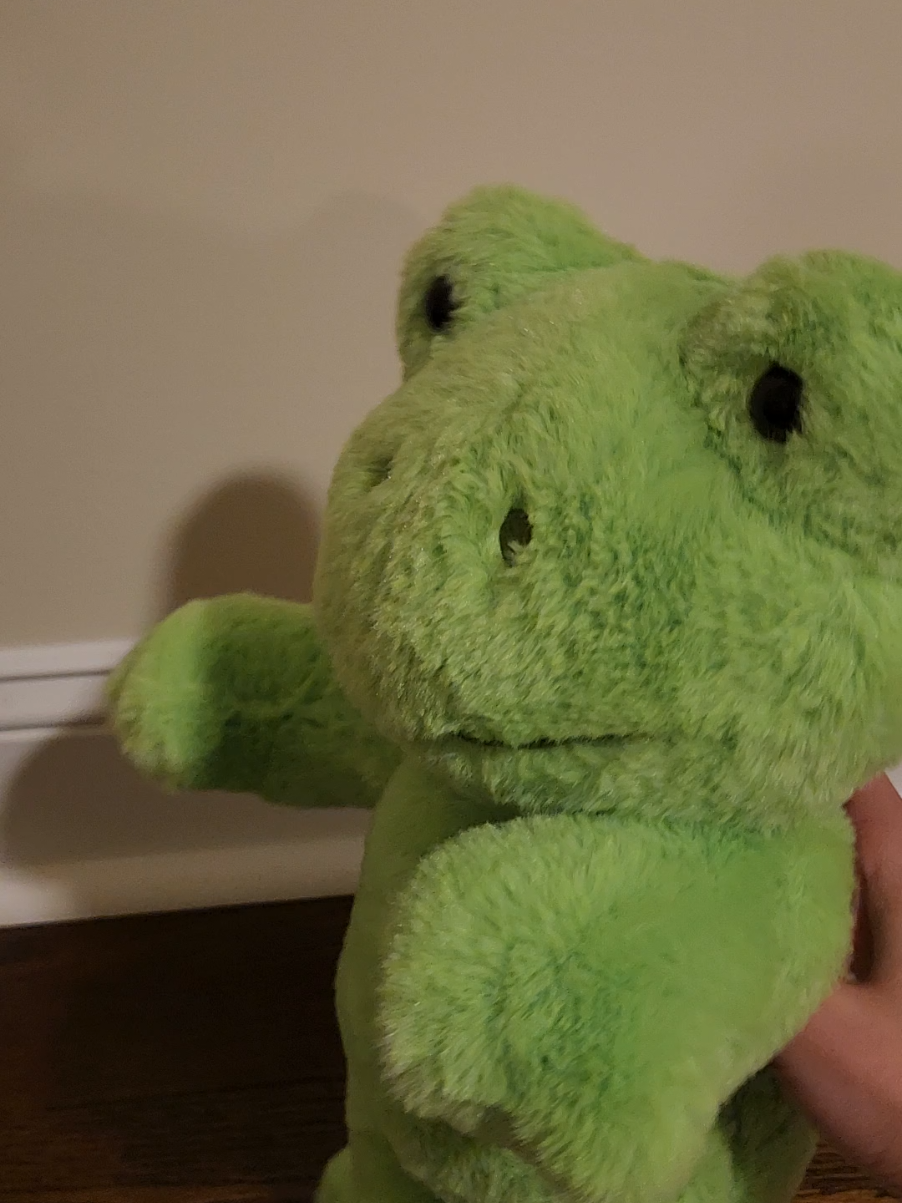 Froggos first music video 🐸#fy #viral #fyp #fypシ 