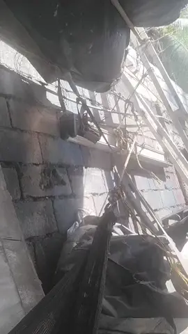 #creatorsearchinsights #trending #viral #followme #tiktok for entertainment only😁 