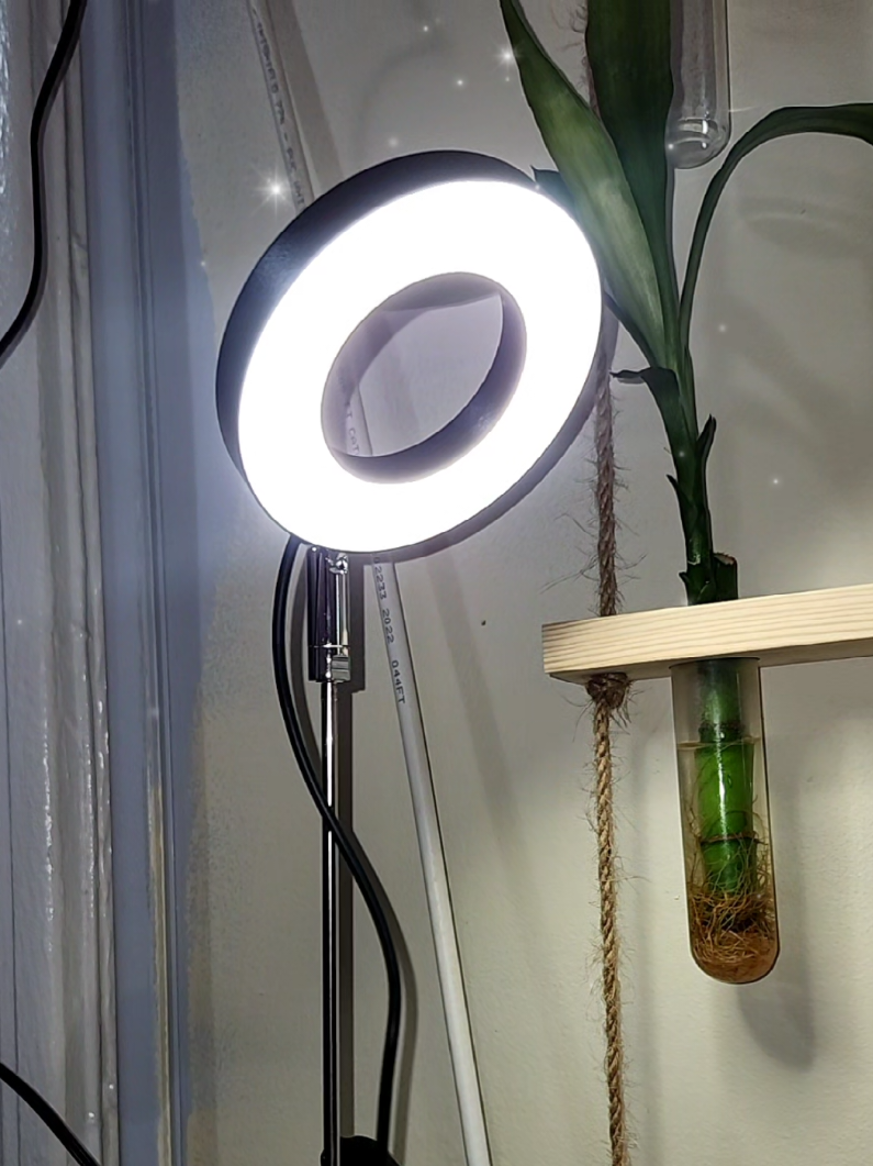 Grow Lights for Indoor Plants, #jardinencasa #plant #plants #plantas #plantasdeinterior 