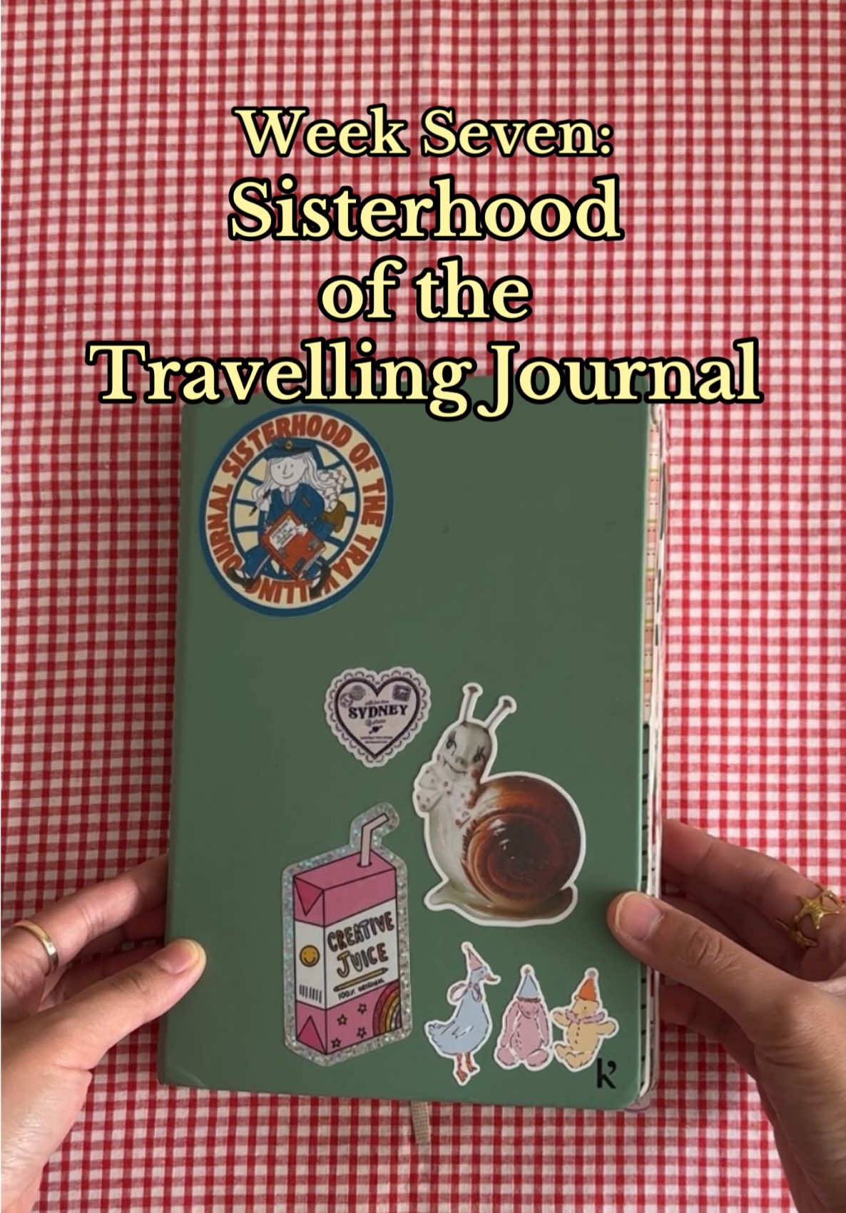 Loved working on @Belle Brown ♡︎’s journal 🥰 And everyone added such amazing pages!  @Chantelle 🦢 AThousandThoughts  @✦｡⋆˚｡⋆ lily rose milk ⋆｡˚⋆｡✦  @aliyah 🌀  @Chloe Smith  @Hannah G 💌✂️🎀  @isabelle 🎀  @Bella ౨ৎ  Now it’s off to it’s last recipient @kiara 🌷💌🇦🇺!  Original idea from @diaryofdez  #sisterhoodofthetravelingjournal #travelingjournal #junkjournal #journal #scrapbook 