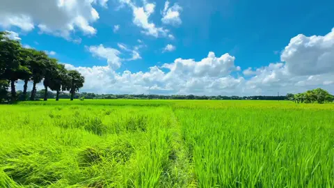 Sesh Kanna with ME |Use headphones for better sound quality I kmon hoiyace Video tahh? #sinamtic #cinematic #cinematic_video #vairal_video #fyp #song #sesh_kanna #foryou #sesh_kanna#sinamtic #sinamtic #cinematic 