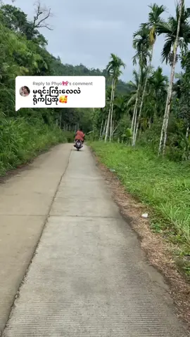 Replying to @Phyo🎀 ပထမဦးဆုံးရောက်ဖူးတဲ့ရွာလေး🏞️#fyppppppppppppppppppppppppppppp #fyp #100k #zwalhmanchit 