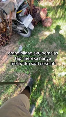 aslinya ceo🫣😁🙏🏼#fyp #foryoupage#bossawit#kebunsawit 