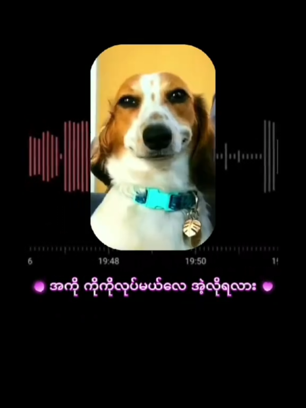 ဖန်တွေကိုခင်ပါတယ်နော်။ . . . . . . . . . #recording #voiceactor 