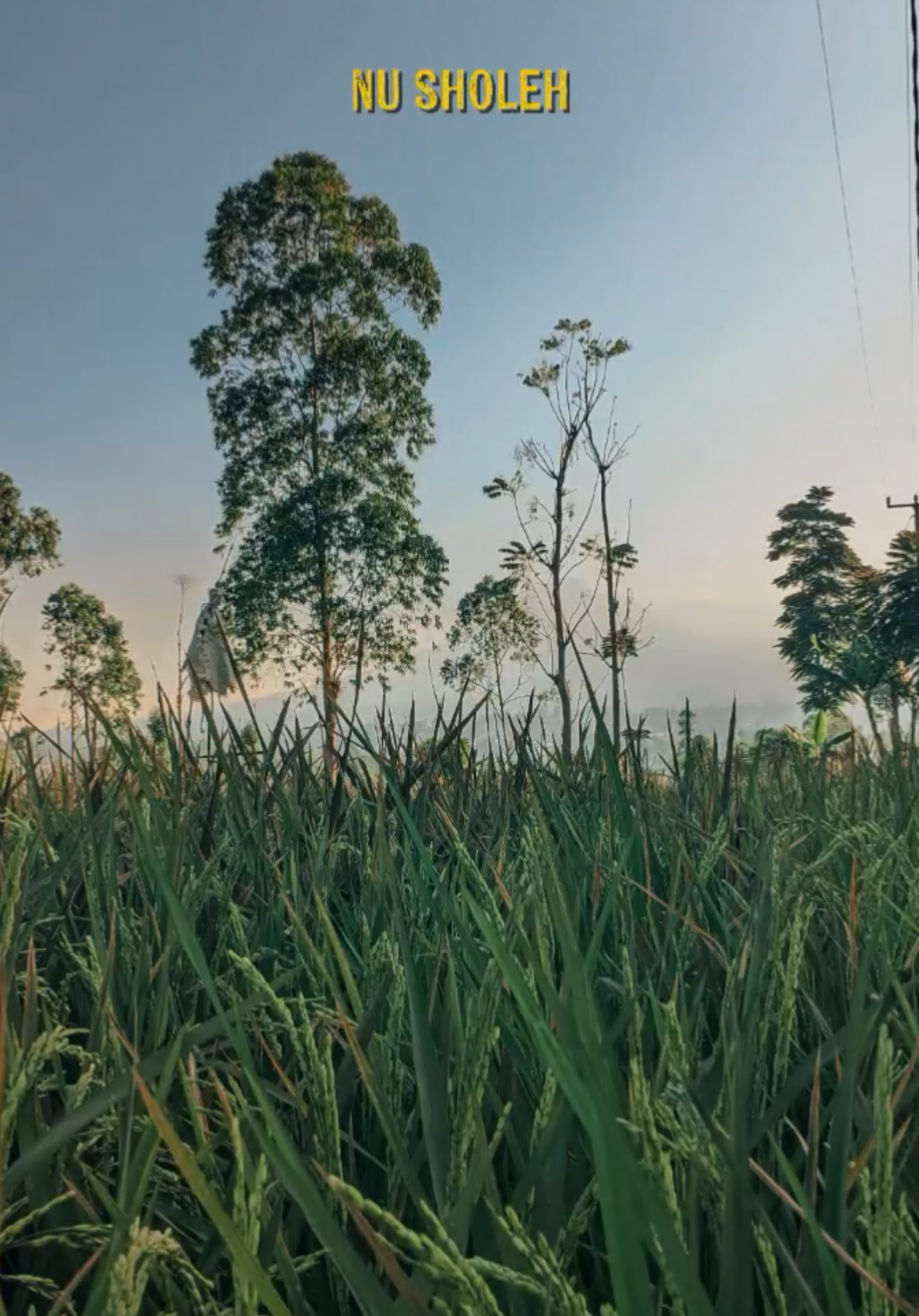 sapu jagat #CapCut #liriksunda #popsunda #lagusunda #sapujagat 