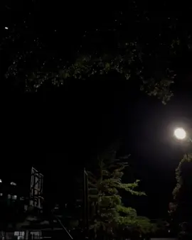 Biri var kafamda) . . . .#musiqilyrics 