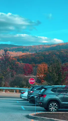 November in NY🥰 #fall #ny 