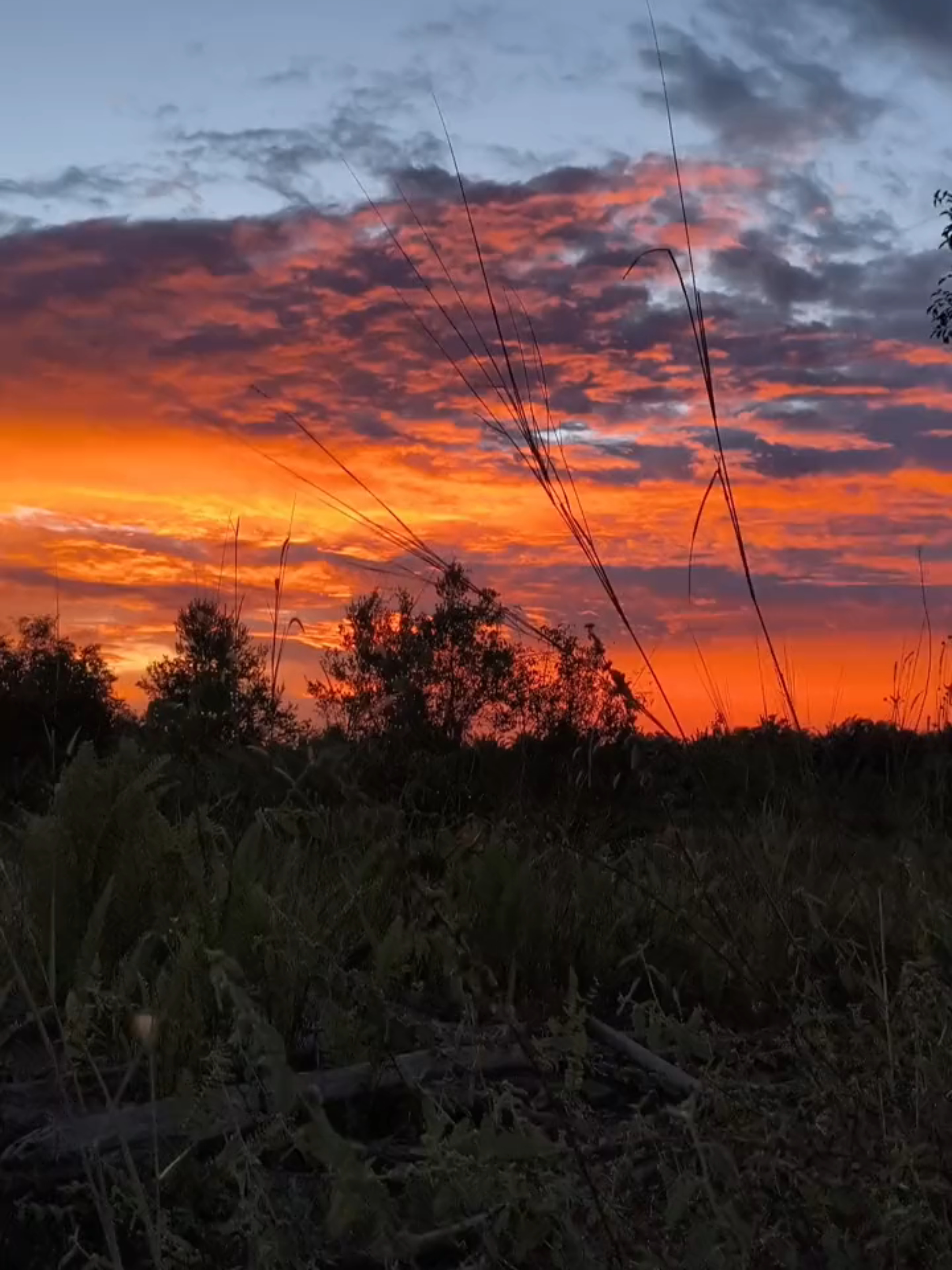 sunset🧡#shotonpocox7pro #sunsetlover #fyp #4u #4k60fpsvideos