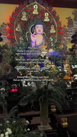 Nam Mô A Di Đà Phật🙏#phapphucdichua #reviewdodichua #dichuamacgi #nammoadidaphat #viral 