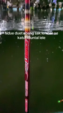 Sementara gumbul cacing sek bos#konsistenmancing #rilislelemalang 